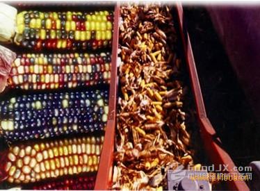 国内玉米深加工设备国产化水平待提高