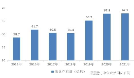 未来市场前景预测：我国家禽生产有望保持稳步增长态势(图1)