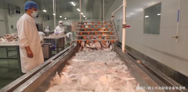 大型水产鱼类深加工机械生产鱼头鱼片鱼丸自动化设备(图6)