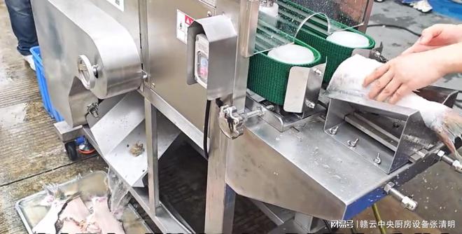水产深加工做鱼丸都需要哪些机器？全套自动鱼丸加工设备介绍(图2)