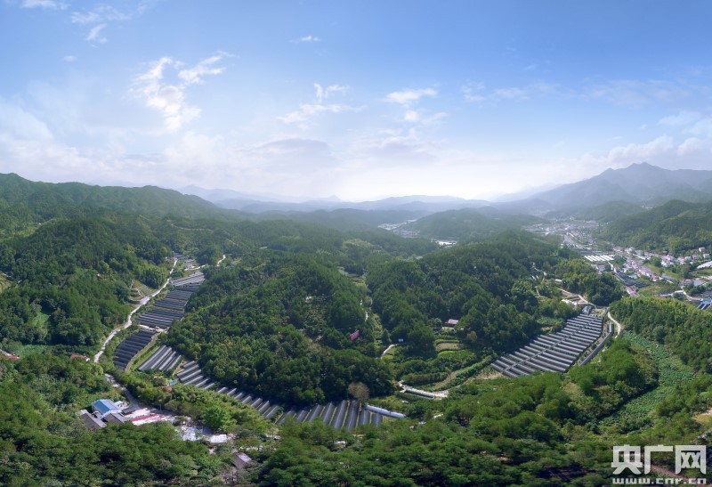 六安新路（下）《西山药库“仙草”重生(图2)