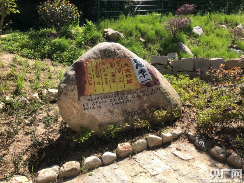 六安新路（下）《西山药库“仙草”重生(图4)