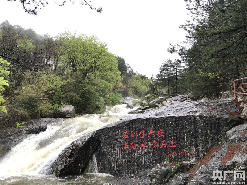 六安新路（下）《西山药库“仙草”重生(图8)