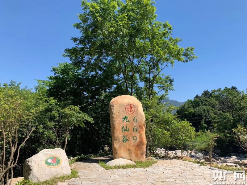六安新路（下）《西山药库“仙草”重生(图10)
