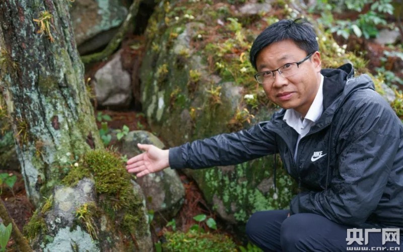 六安新路（下）《西山药库“仙草”重生(图11)