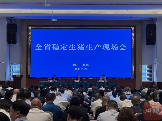 新形势下今年川猪如何稳生产？