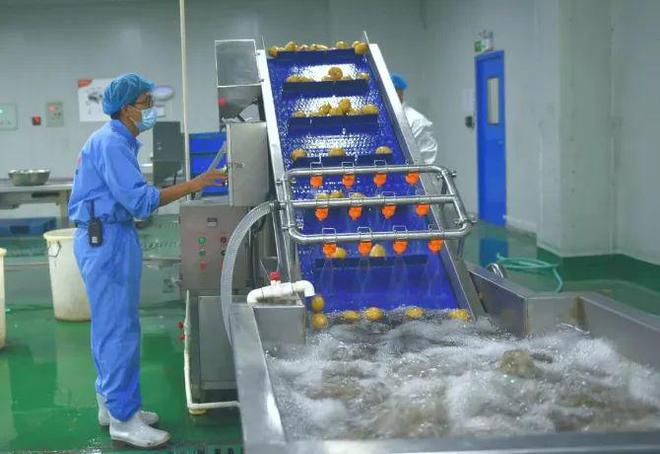 推进“果蔬进京入津”！衡水着力建设现代农业强市→(图2)