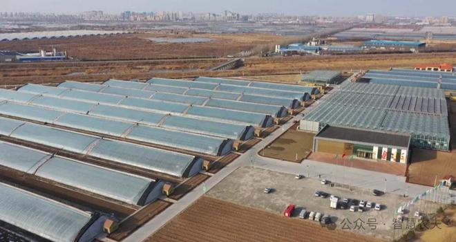 发展智能温室大棚种植解锁高效农业秘诀！(图3)