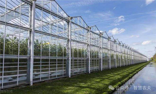 发展智能温室大棚种植解锁高效农业秘诀！