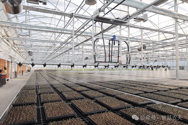 发展智能温室大棚种植解锁高效农业秘诀！(图6)