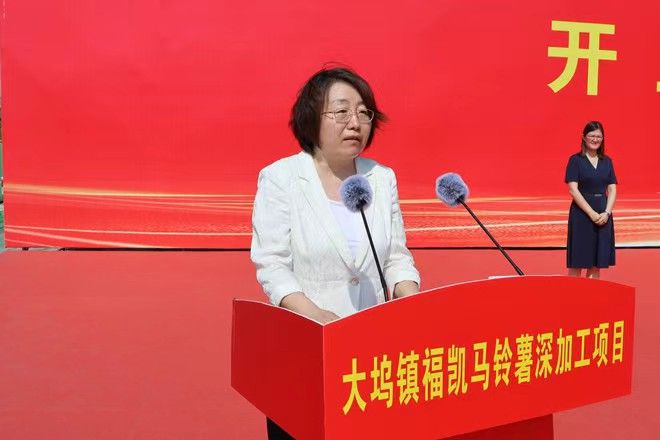 滕州：总投资12亿元分三期建设马铃薯深加工项目(图3)