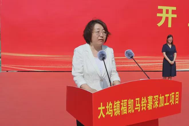 滕州马铃薯深加工项目总投资12亿元(图3)