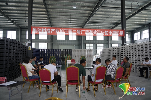 【理响中国·讲好“中国式商量”故事】当好群众“贴心人”基层委员工作室助力农产品提质增收(图2)