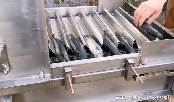 大型鱼丸加工设备全自动鱼类水产深加工机器(图3)