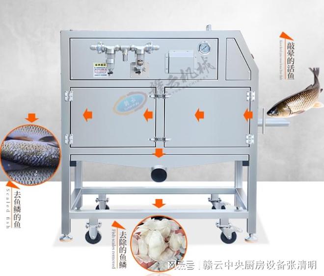 大型鱼丸加工设备全自动鱼类水产深加工机器(图2)