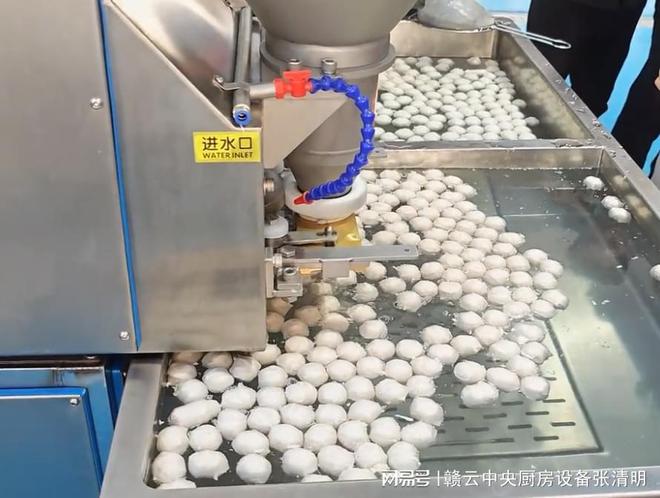大型鱼丸加工设备全自动鱼类水产深加工机器(图7)