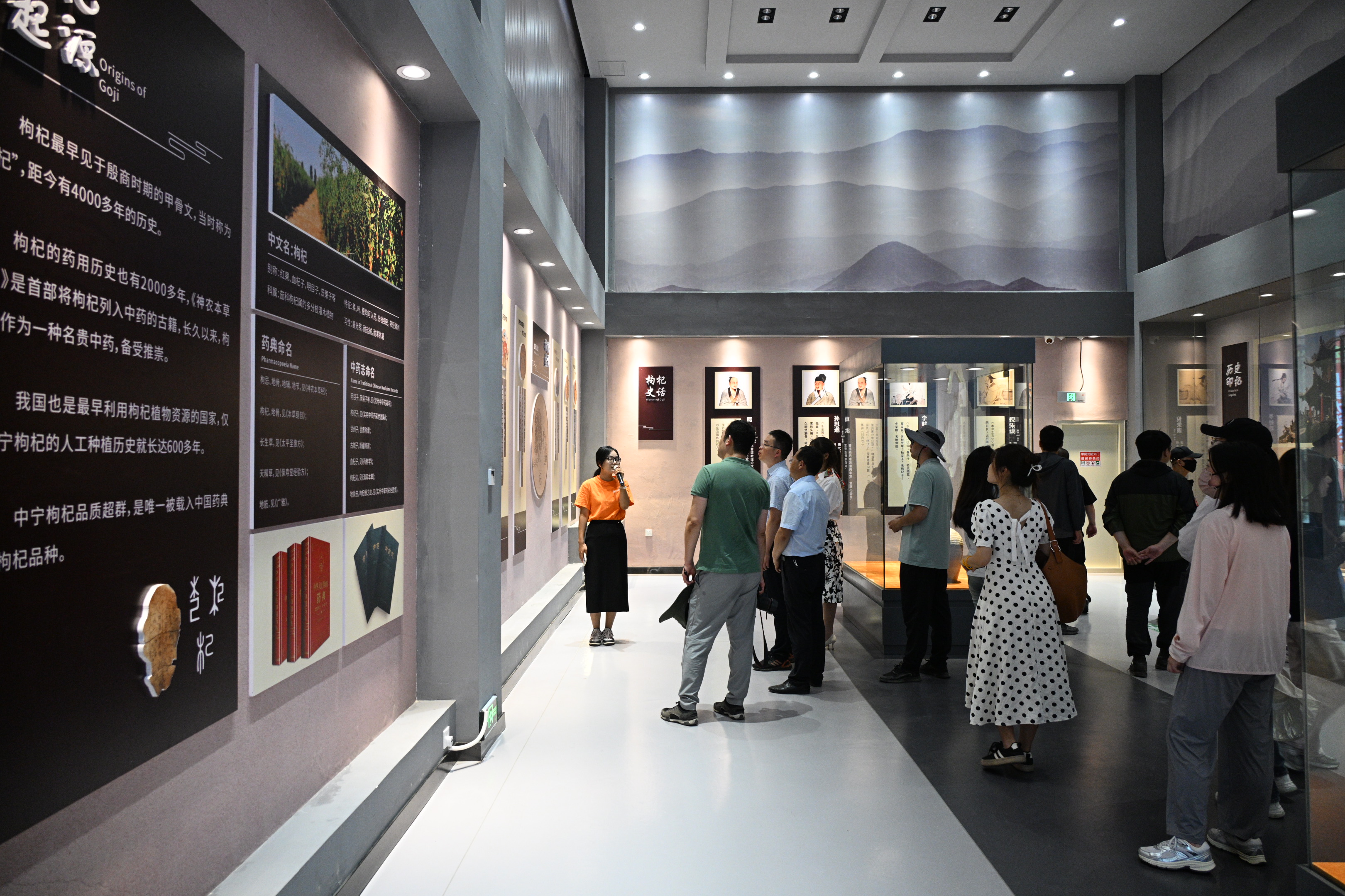 【高质量发展中国行·宁夏篇】宁夏杞滋堂：以“杞”为媒探索枸杞健康产业与文化旅游融合之路(图6)