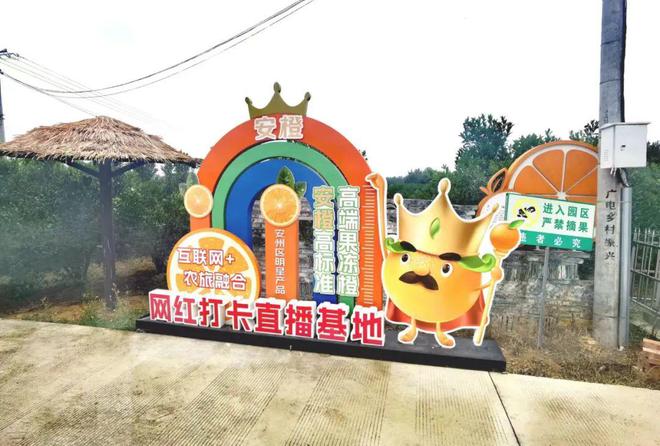 让“甜蜜”的产业更甜蜜！绵阳市安州区花荄镇通过小微协商力促柑橘产业发展(图3)