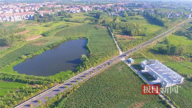 盘活土地资源促进农民增收新洲这个村别样振兴路