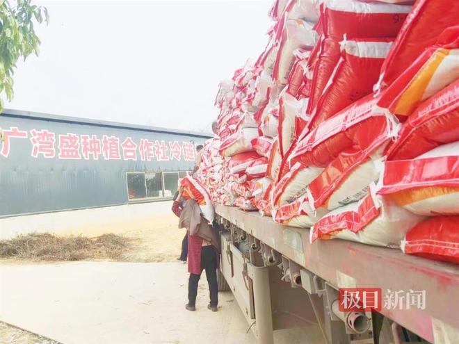 盘活土地资源促进农民增收新洲这个村别样振兴路(图4)