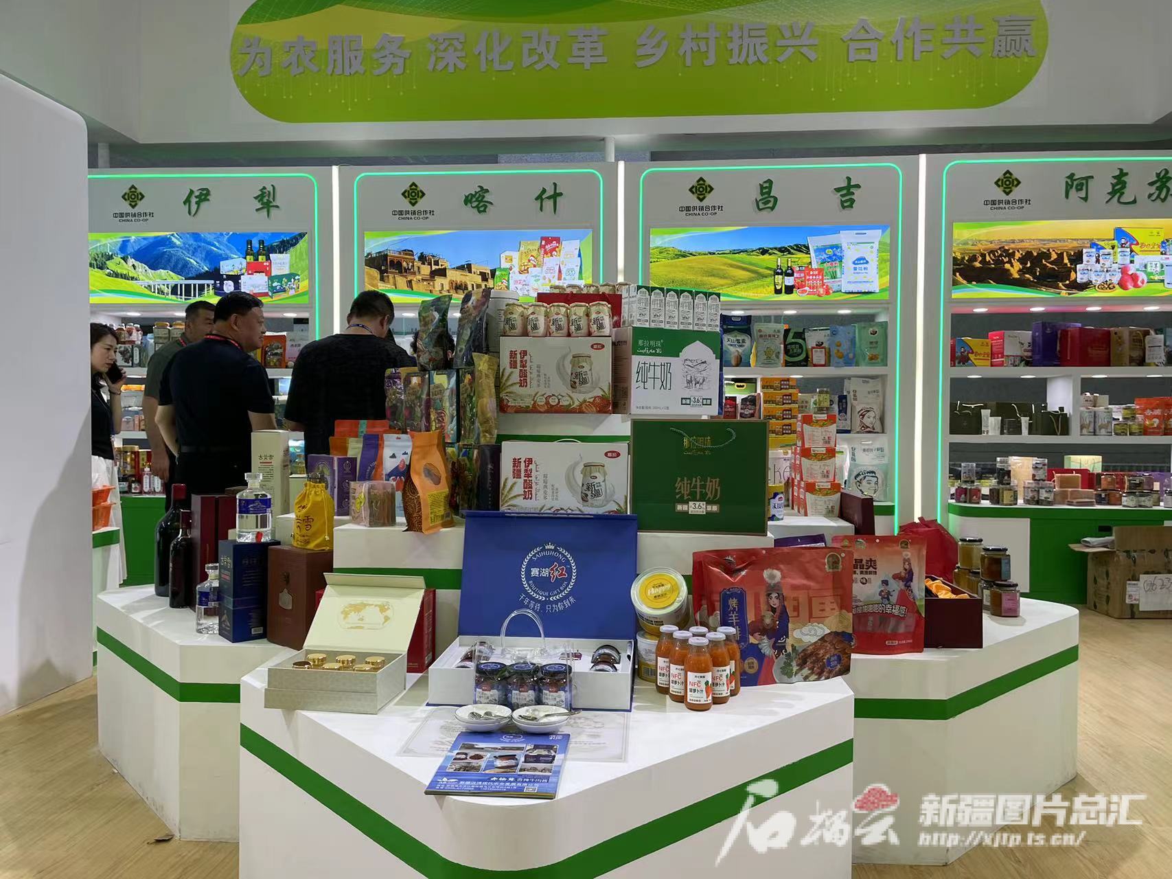 博览会观察｜合作共赢与世界共享美好未来(图2)