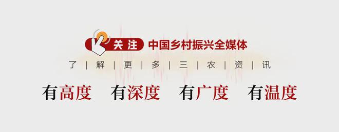 乡村用地如何布局？村庄规划怎样编制？浙江明确这些重点任务(图3)