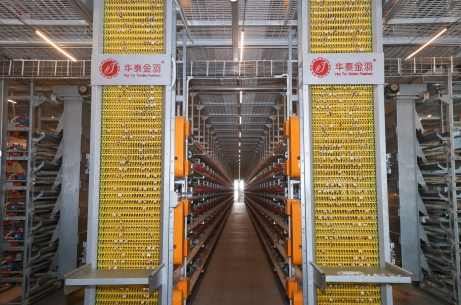 山东畜牧：向“新”向“智”绿”(图2)