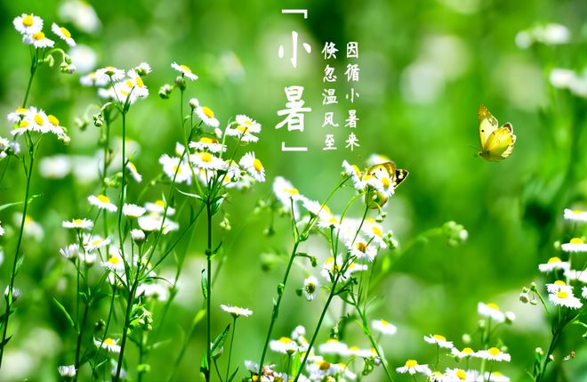 三伏天40天防晒攻略：大族粤铭激光科技助力防晒神器制造