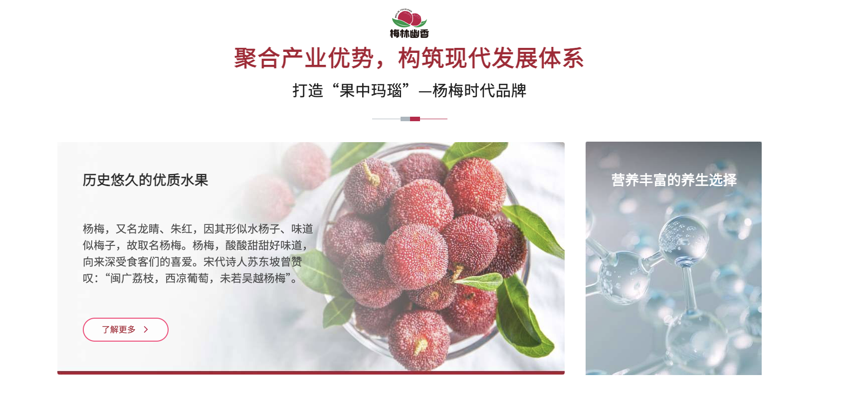 梅林幽香：品质与服务的双重保障满足市场多元化需求(图3)
