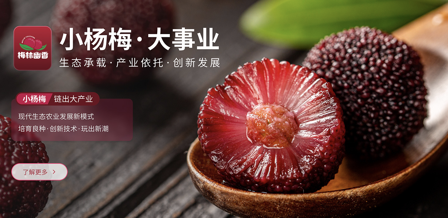 梅林幽香：品质与服务的双重保障满足市场多元化需求(图2)