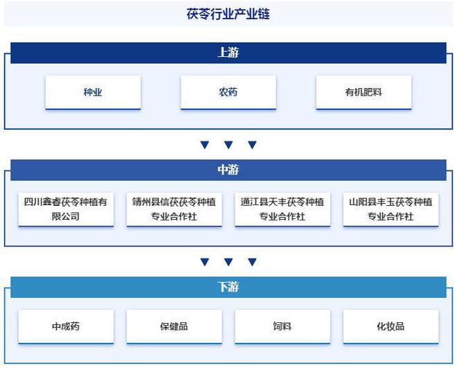 茯苓产业发展历程回顾、企业竞争格局及市场前景研究（智研咨询）(图5)