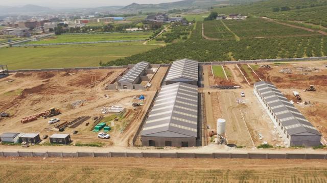 龙井市持续推进项目建设奏响“奋进曲”跑出“加速度”(图2)