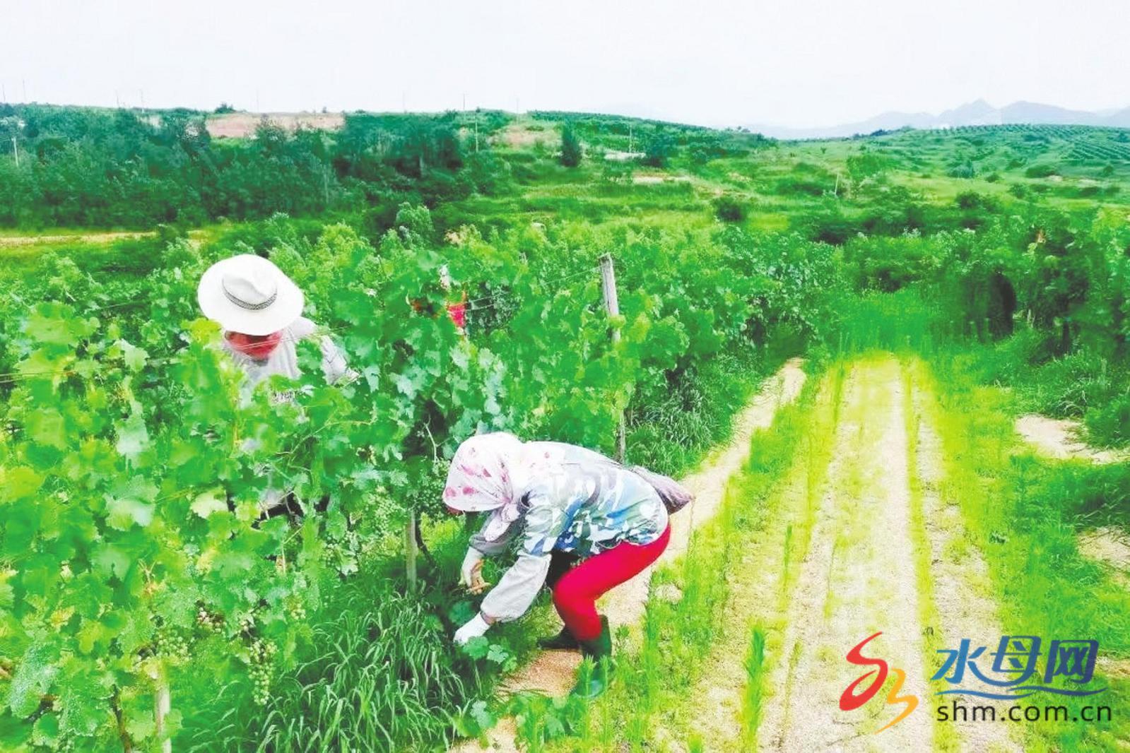 锚定现代化改革再深化烟台成功入选国家首批生态产品价值实现机制试点城市