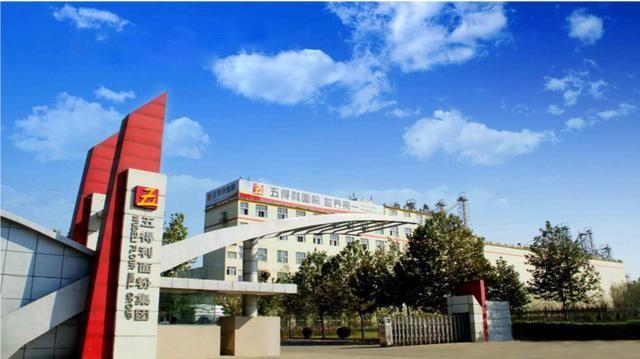 中国农业又一次震撼世人!这家面粉巨头一年销量能养活三个英国(图3)