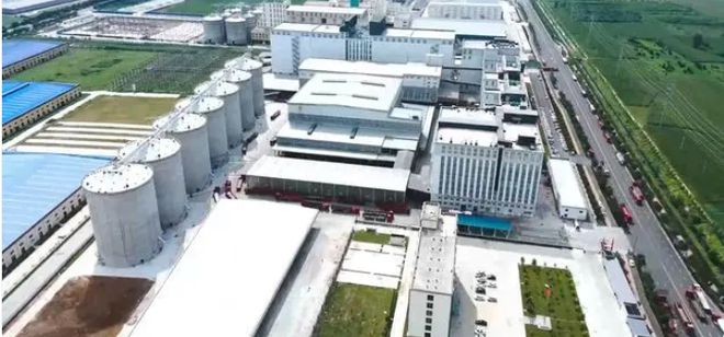 中国农业又一次震撼世人!这家面粉巨头一年销量能养活三个英国(图10)