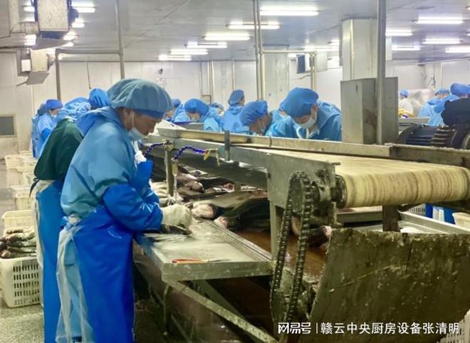 淡水鱼深加工对农业发展有哪些帮助？鱼类深加工设备由哪些组成？(图3)