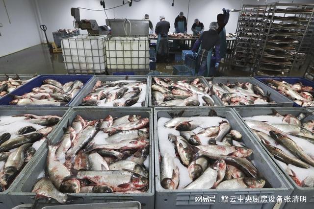 淡水鱼深加工对农业发展有哪些帮助？鱼类深加工设备由哪些组成？(图2)