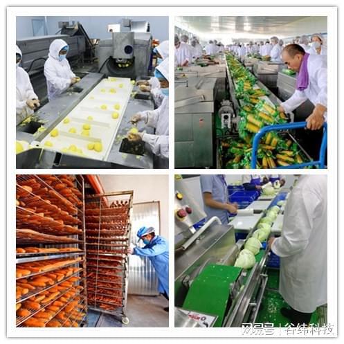 探索农副产品深加工设备：驱动农业增值的关键技术