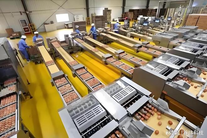 探索农副产品深加工设备：驱动农业增值的关键技术(图5)