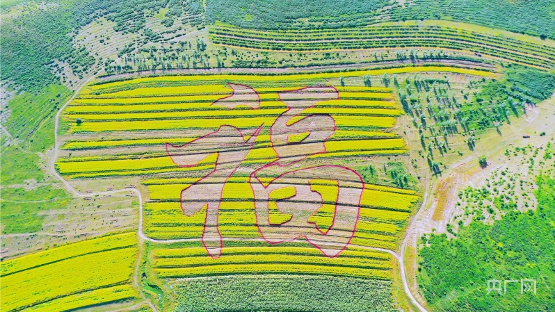 不以山海为远携手共谱新篇｜“首驿林西”打通京蒙协作新赛道(图2)