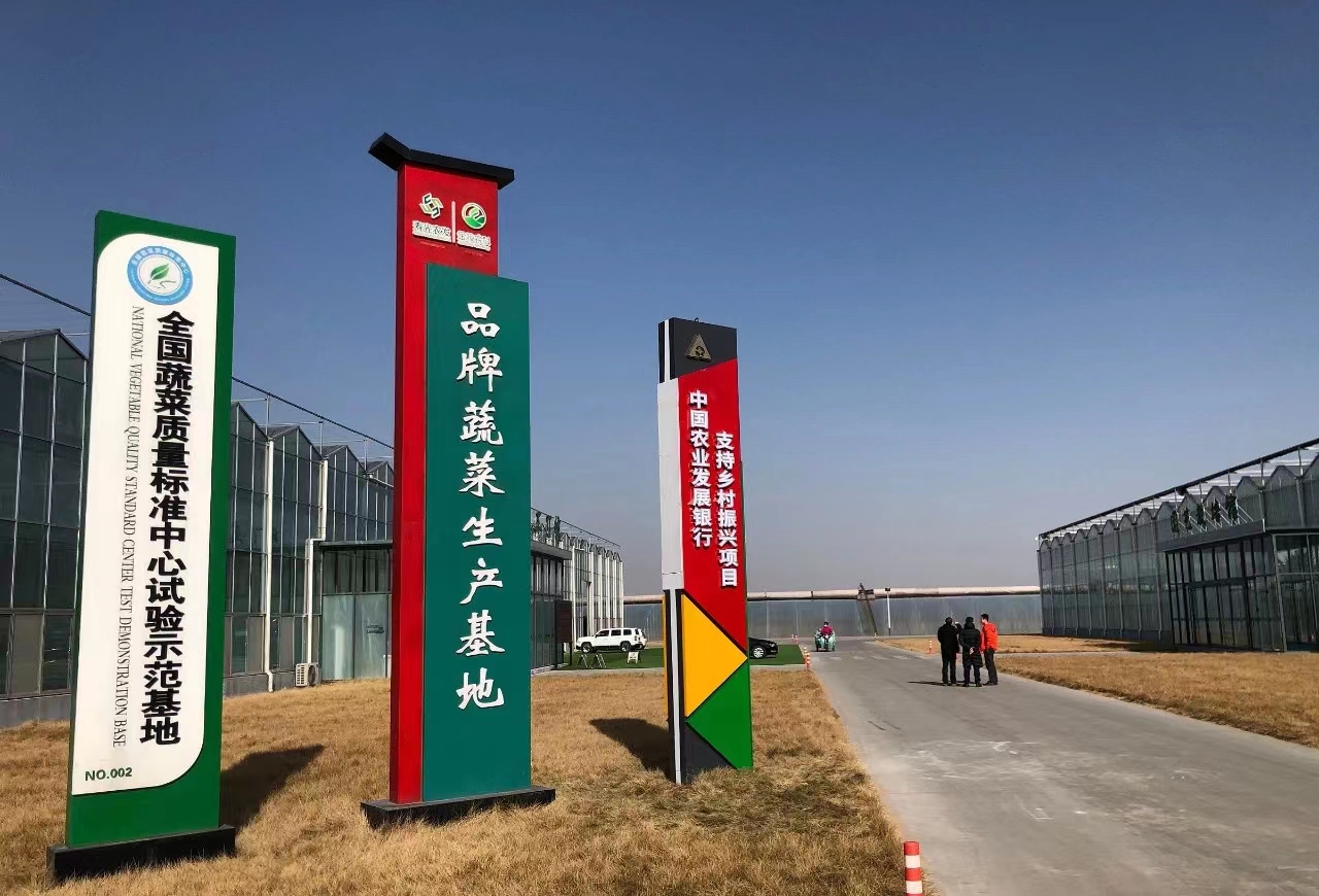 农发行山东省分行：设施农业“贷”动“棚”勃发展