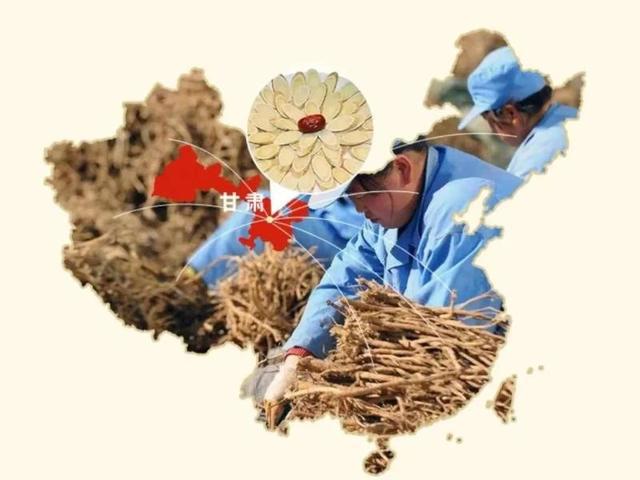 千年药乡康养宕昌(图4)