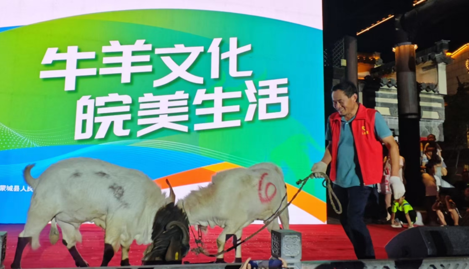 皖临白山羊国审新品种发布！系安徽首个自主培育大家畜品种(图4)