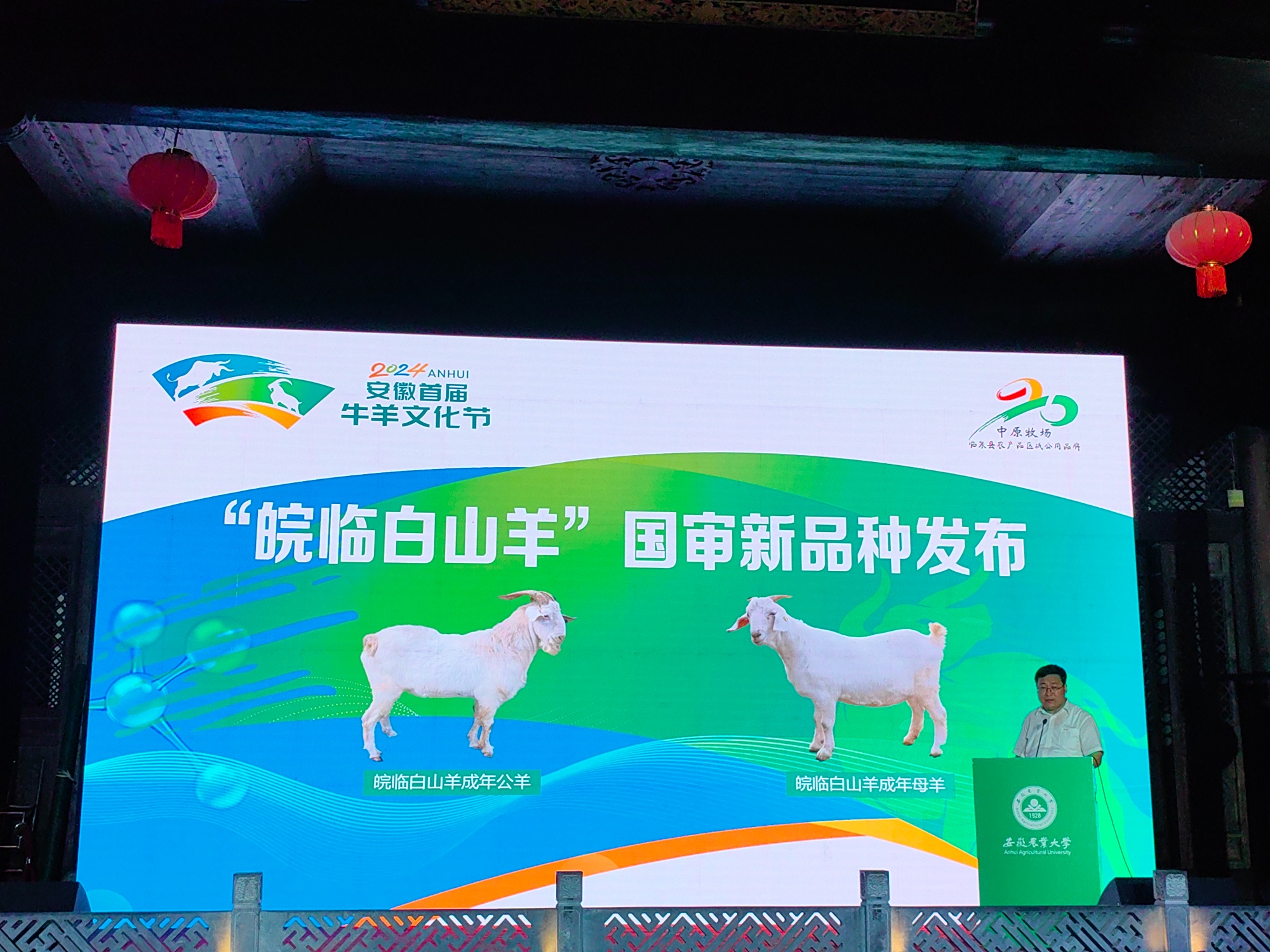 皖临白山羊国审新品种发布！系安徽首个自主培育大家畜品种