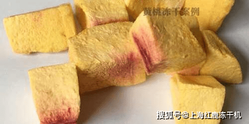 农产品冻干设备在农副产品深加工市场前景(图2)