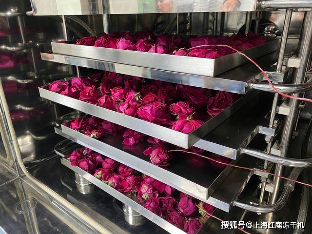 农产品冻干设备在农副产品深加工市场前景(图3)