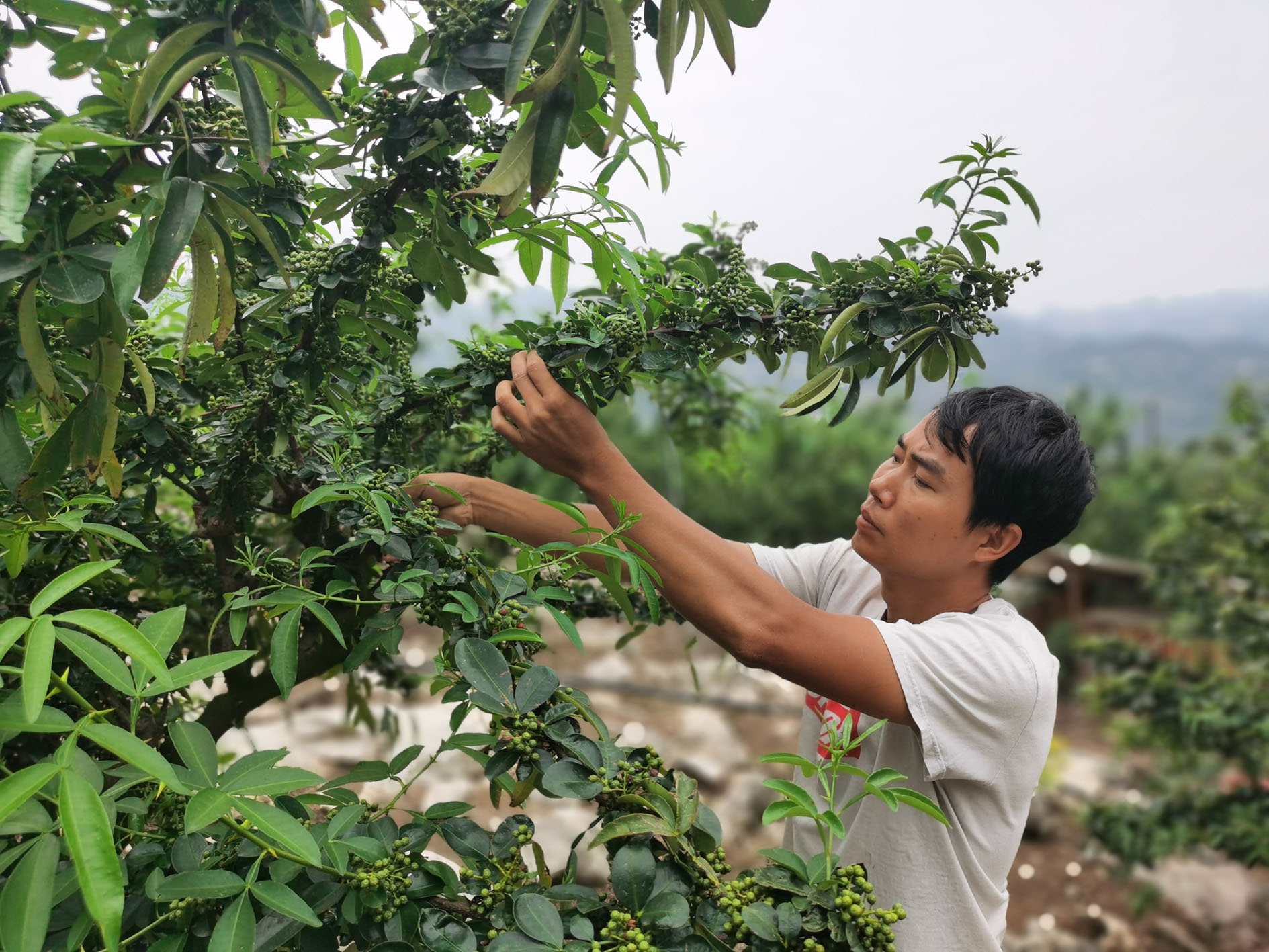 加快产业升级由“量大”转为“质优”
