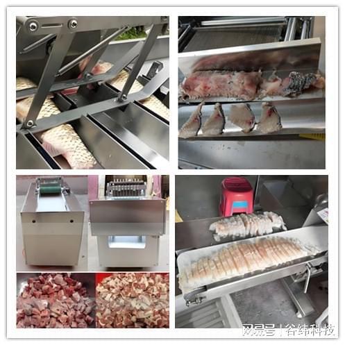 智能未来：探索鱼类加工设备的自动化设备(图3)