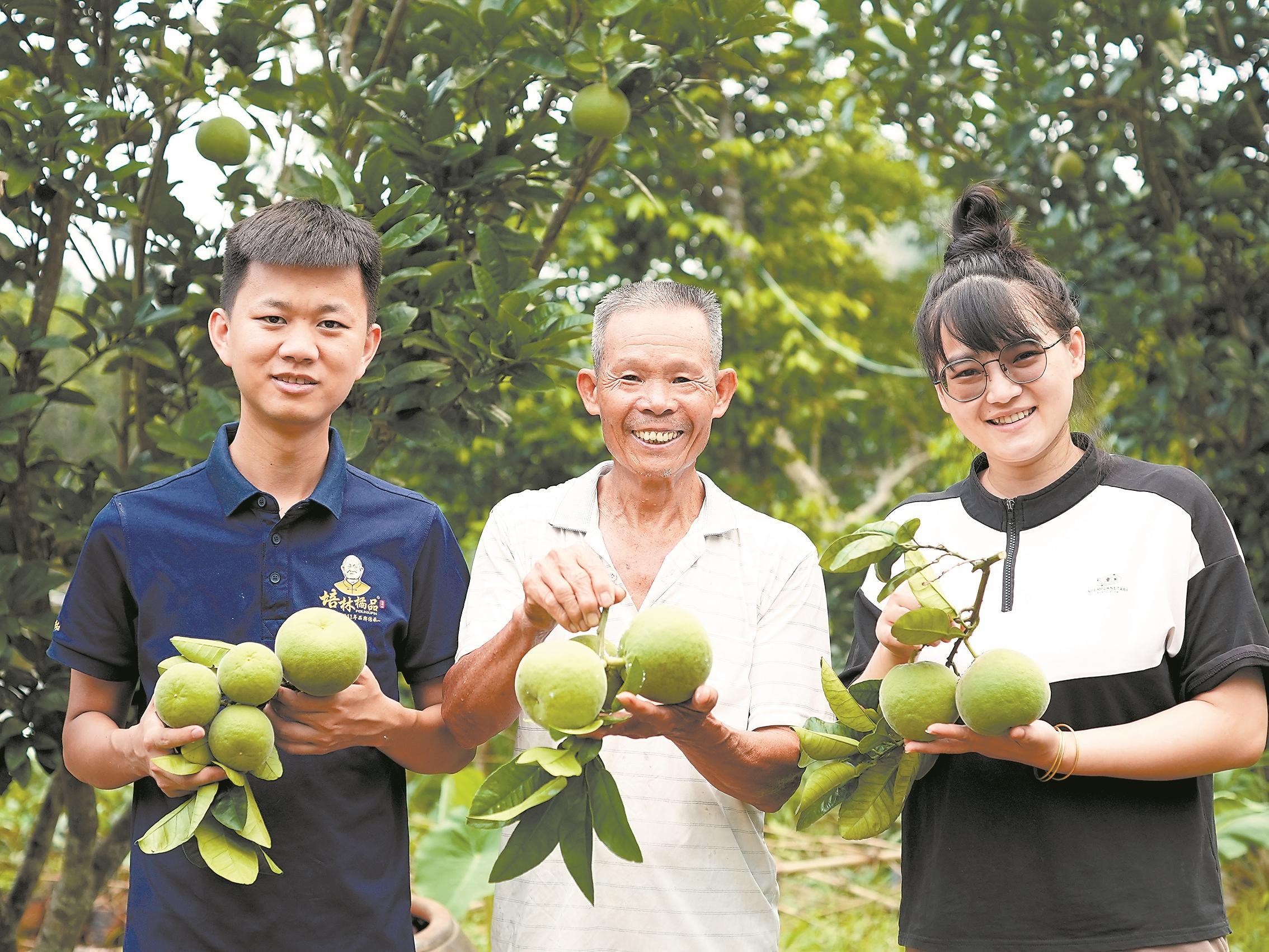 官宣！化橘红“药食同源”(图3)