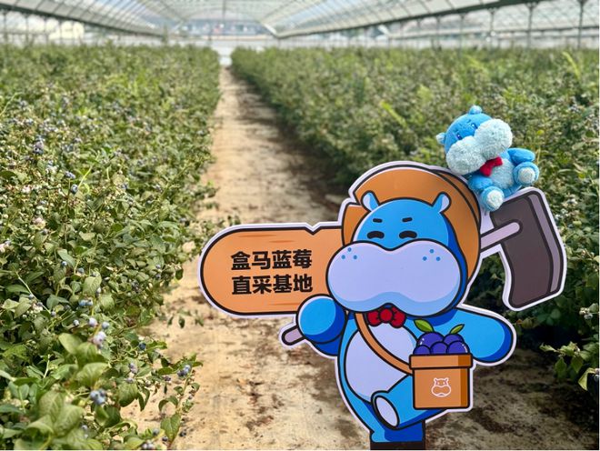 中国国际水果展在沪举办大量水果首次来中国报到！供应链渠道商抢抓商机(图2)